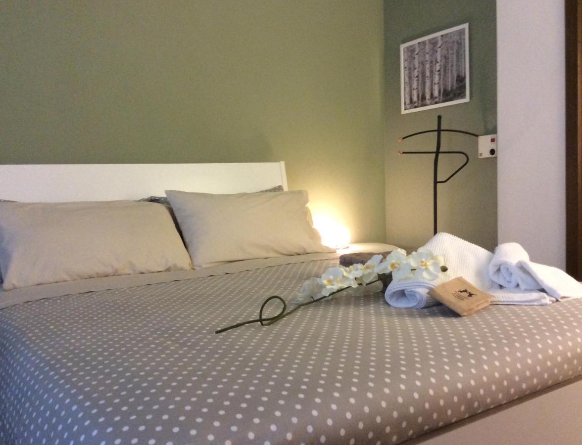 Zanica Le Betulle Bed & Breakfast エクステリア 写真