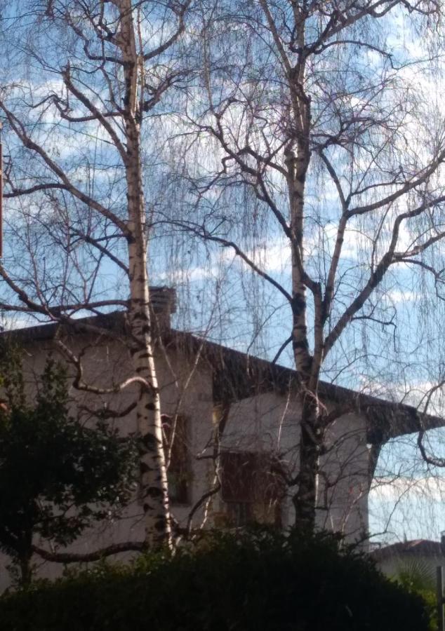 Zanica Le Betulle Bed & Breakfast エクステリア 写真