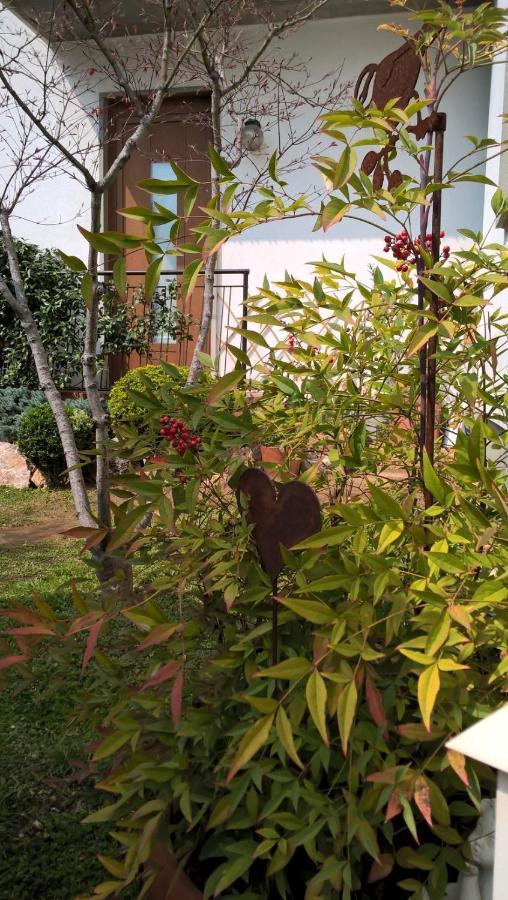 Zanica Le Betulle Bed & Breakfast エクステリア 写真